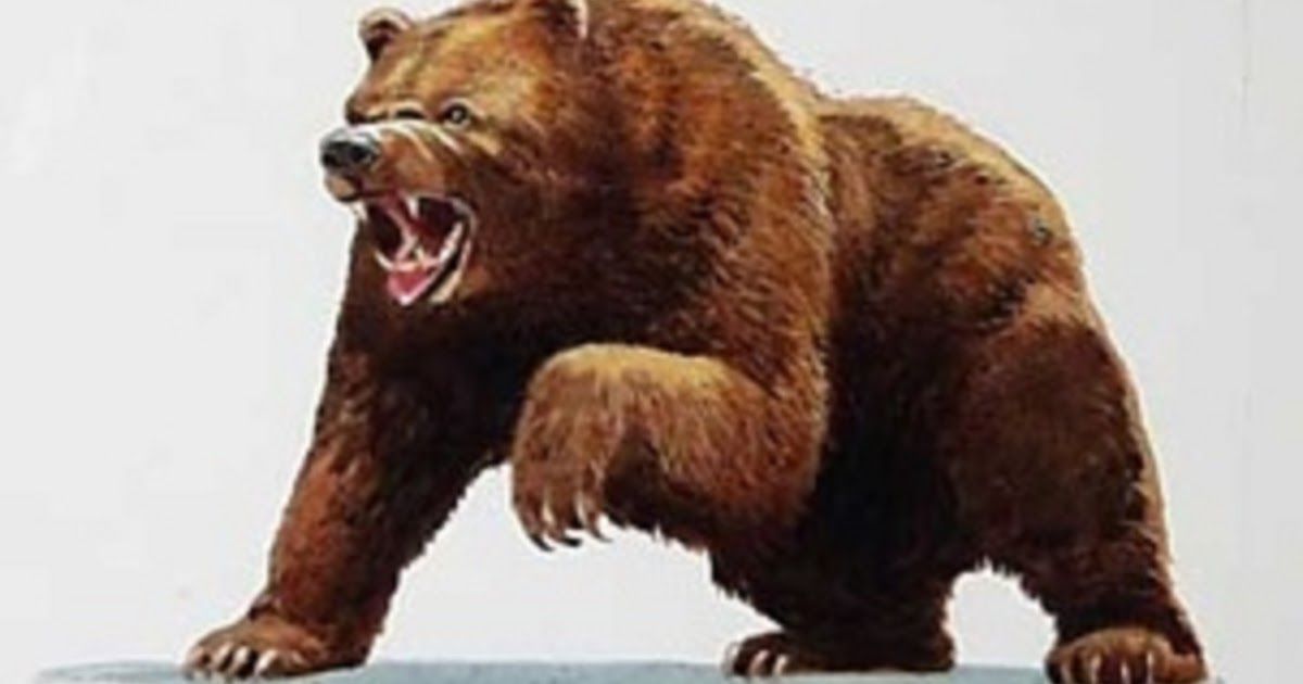 The Indian stock markets ended lower on Thursday after a day of cautious trading, as late selling pressure erased earlier gains.